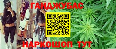 индика Гатчина