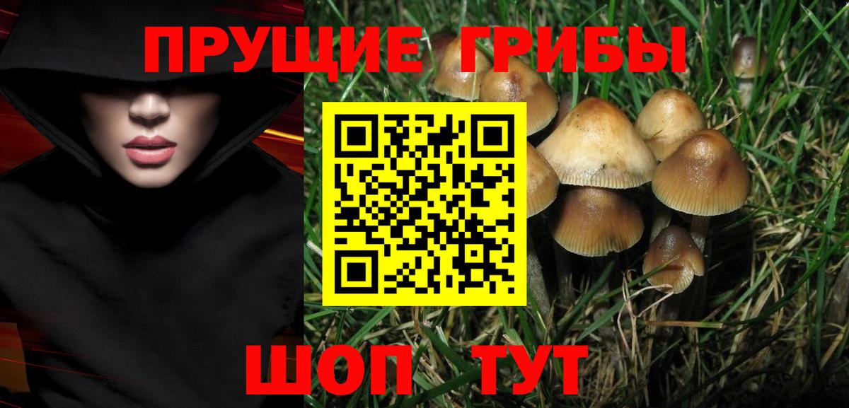 Городец  Галлюциногенные грибы GOLDEN TEACHER  Вход с VPN 