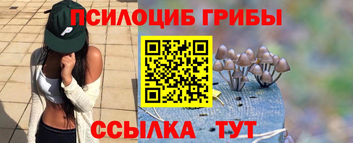 Галлюциногенные грибы Psilocybine cubensis Городец